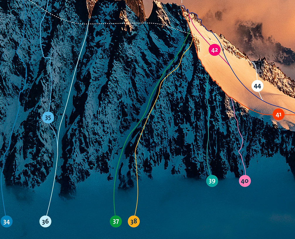 Aiguille Verte - Face Nord I